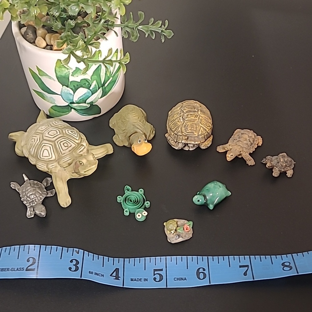Mini Turtle Collection - Picture 5 of 6